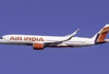 Planning to Carry Mangoes on a Flight? Know These Important Travel Rules First