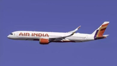 Planning to Carry Mangoes on a Flight? Know These Important Travel Rules First