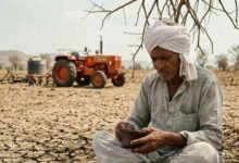 Canara Bank Launches Big Overdraft Scheme for Farmers