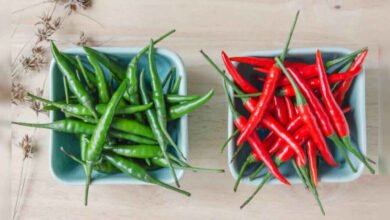 Green Chilli or Red Chilli Which One Is Better for Health During Summer