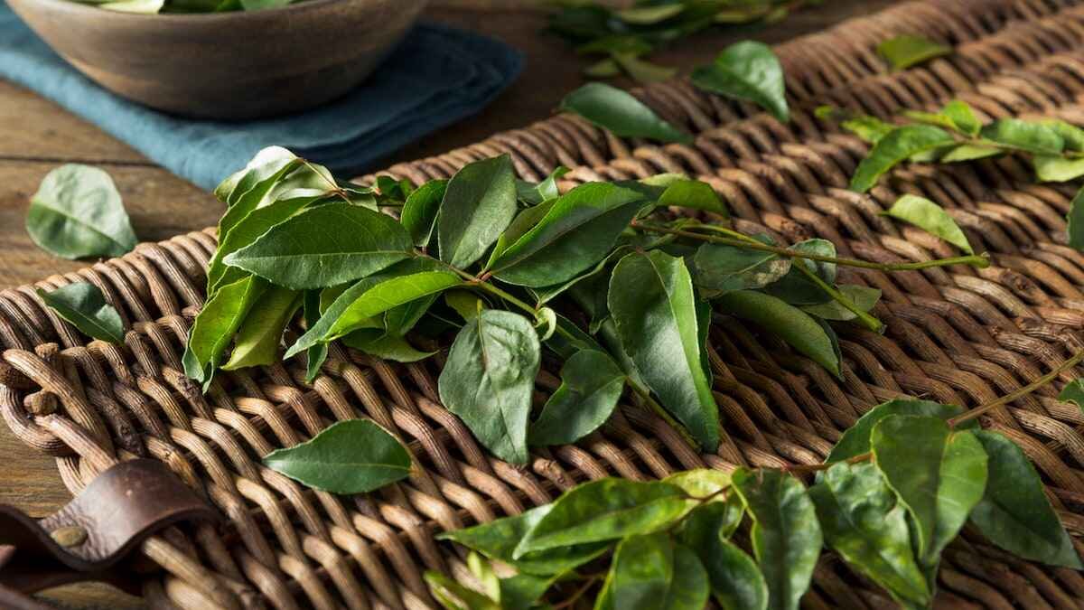 Simple Kitchen Tricks That Keep Curry Leaves Fresh for Months Without Losing Aroma