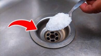 Simple Salt Trick Can Remove Bad Smell From Kitchen Sink Overnight