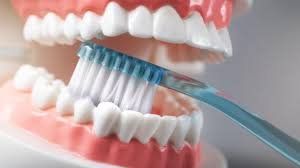 Small Habit That Protects Your Heart and Lifespan Experts Reveal a Hidden Oral Health Secret