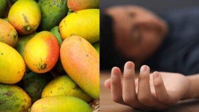 Police and medical authorities investigate the Dahegaon incident where a five year old boy died and two children fell seriously ill after eating mangoes in Kumuram Bheem Asifabad district.