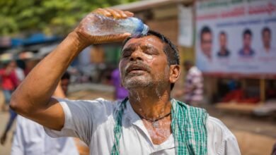 Heatwave Death Toll Rises Across Telugu States as 56 Die in One Day