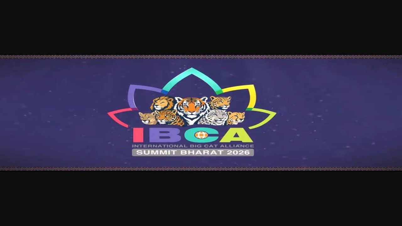 Representatives from multiple countries attend a wildlife conservation event ahead of the International Big Cat Alliance Summit 2026 in India