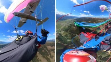 Plane Collides With Paraglider Mid Air Over Austrian Alps