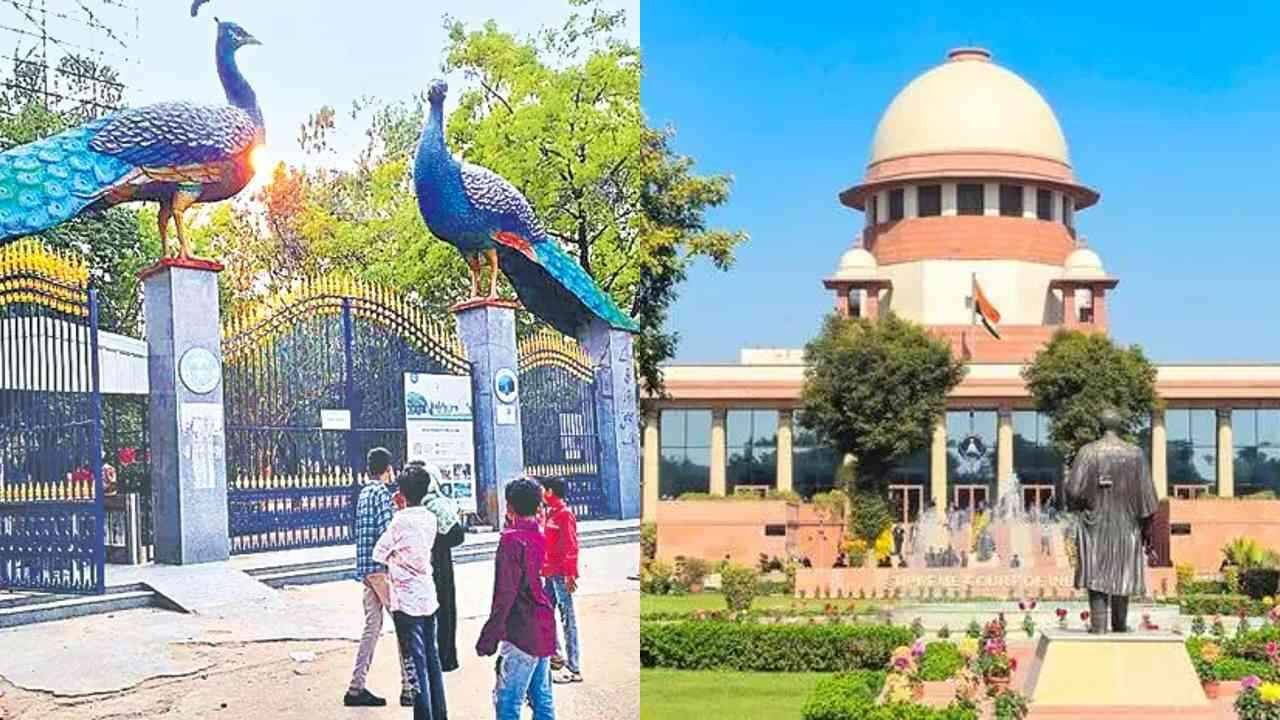 Supreme Court orders temporary halt on tree cutting and flyover related activities near Hyderabad KBR Park eco sensitive zone.