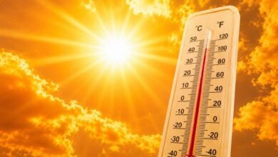 Telangana Heat Wave Alert Issued for Four Districts