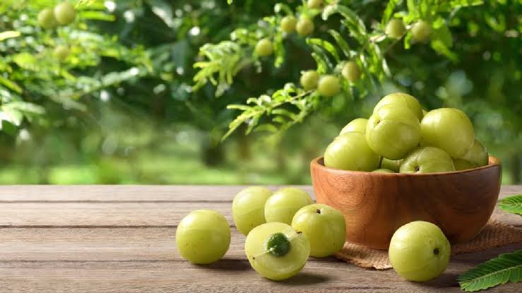 Amla Before Meals A Natural Health Shield That May Support Sugar Control and Immunity
