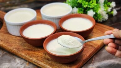 Curd with Salt or Sugar What Ayurveda Says About the Healthiest Way to Eat Curd for Better Digestion and Energy Balance