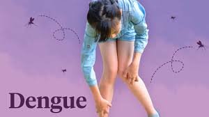 Doctors Warn Dengue Can Turn Deadly for People With Certain Health Conditions