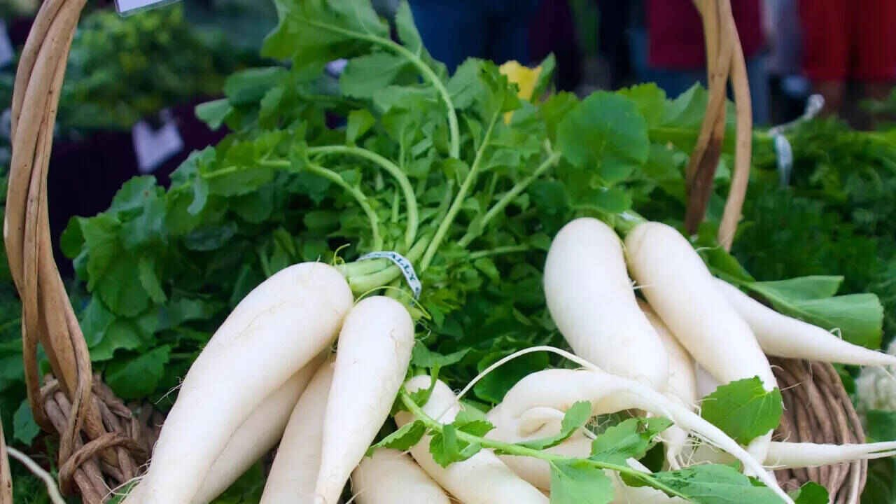Don’t Throw Away Radish Leaves They Hold Powerful Nutrition and Surprising Health Benefits