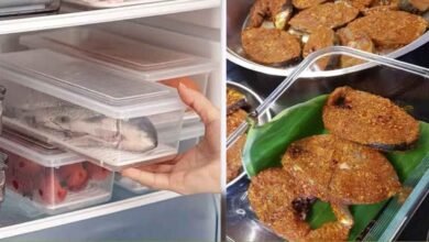 Fish Storage Guide How Long You Can Keep Fish in the Fridge and Tips to Prevent Spoilage