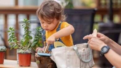 Gardening for Mental Wellness How Nature Time Improves Health Beyond Gym Workouts