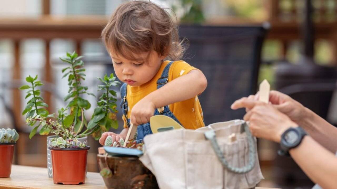 Gardening for Mental Wellness How Nature Time Improves Health Beyond Gym Workouts