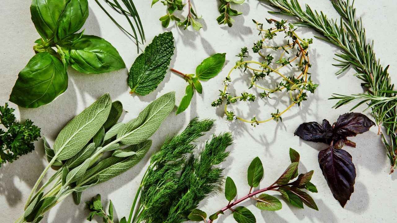 Herbal Balance for Women Natural Secrets for Hormone Health and Everyday Wellness