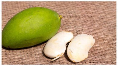 Hidden Beauty Power of Mango Seeds Natural Remedy for Skin Glow and Strong Hair Care