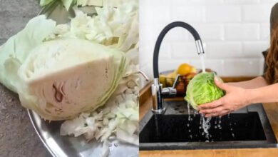 Hidden Insects in Vegetables Why Proper Cleaning Before Cooking Is Essential for Health