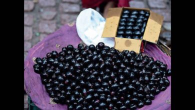 Jamun Fruit Benefits That Can Naturally Support Digestion Immunity and Overall Health