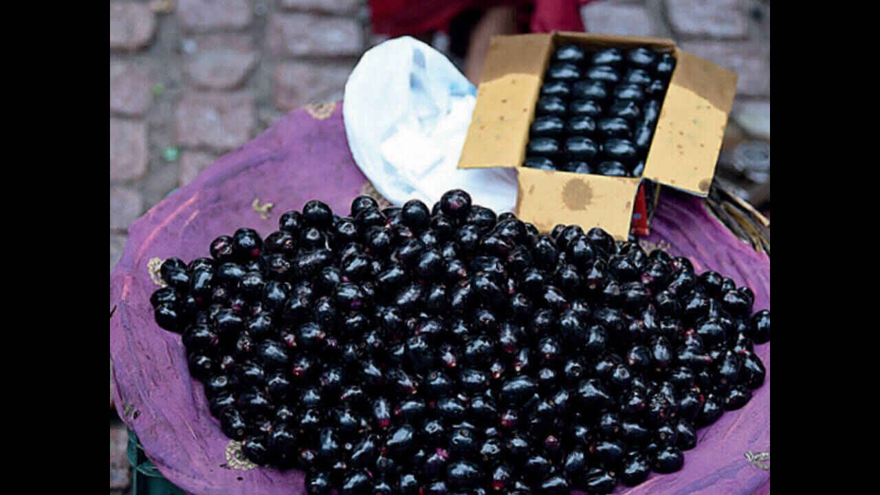 Jamun Fruit Benefits That Can Naturally Support Digestion Immunity and Overall Health