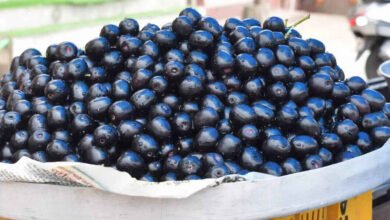 Jamun Side Effects Experts Warn Against Eating These Foods Right After Black Plum