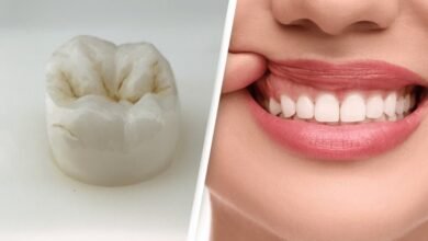 Scientists Develop Groundbreaking Drug That Could Help Regrow Lost Teeth