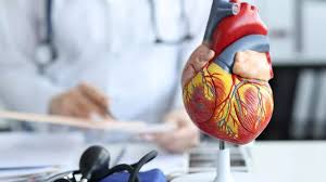 Three Simple Heart Tests That Reveal Your Cardiac Health Before It Is Too Late