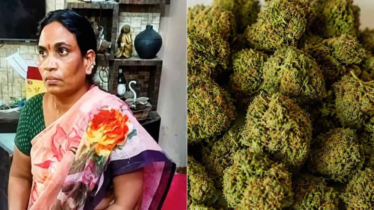 Ganja Queen Escape: Ganja Queen Neetu Bai Escapes Again as Major Drug Bust Uncovers IT Employees