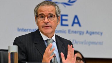IAEA Chief Backs India: IAEA Chief Backs India Permanent Seat Bid at UN Security Council