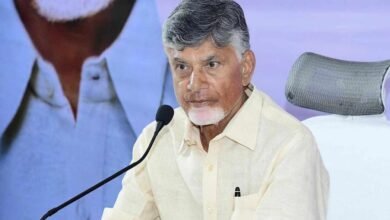 Krishna Boat Tragedy Ex Gratia Announced: Chandrababu Announces Ex Gratia After Krishna River Boat Tragedy