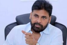 Pawan Kalyan on Telugu States: Pawan Kalyan Highlights Challenges Facing Andhra and Telangana