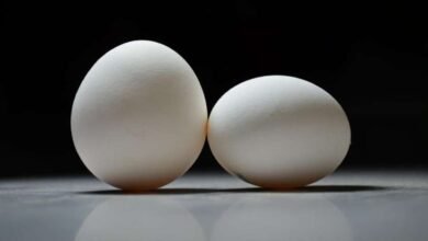 Telangana Egg Prices Rise: Egg Prices Surge Across Telangana With Retail Rates Likely to Reach Rs 10