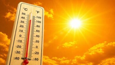 Telangana Heatwave: Heatwave Intensifies Across Telangana as Temperatures Rise Up to Seven Degrees Above Normal