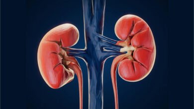 Telangana Kidney Death Rate: ICMR Report Flags Highest Kidney Disease Death Rate In Telangana