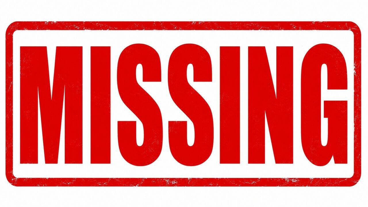 Telangana Woman Missing: Telangana Woman Goes Missing at Istanbul Airport During Journey Home