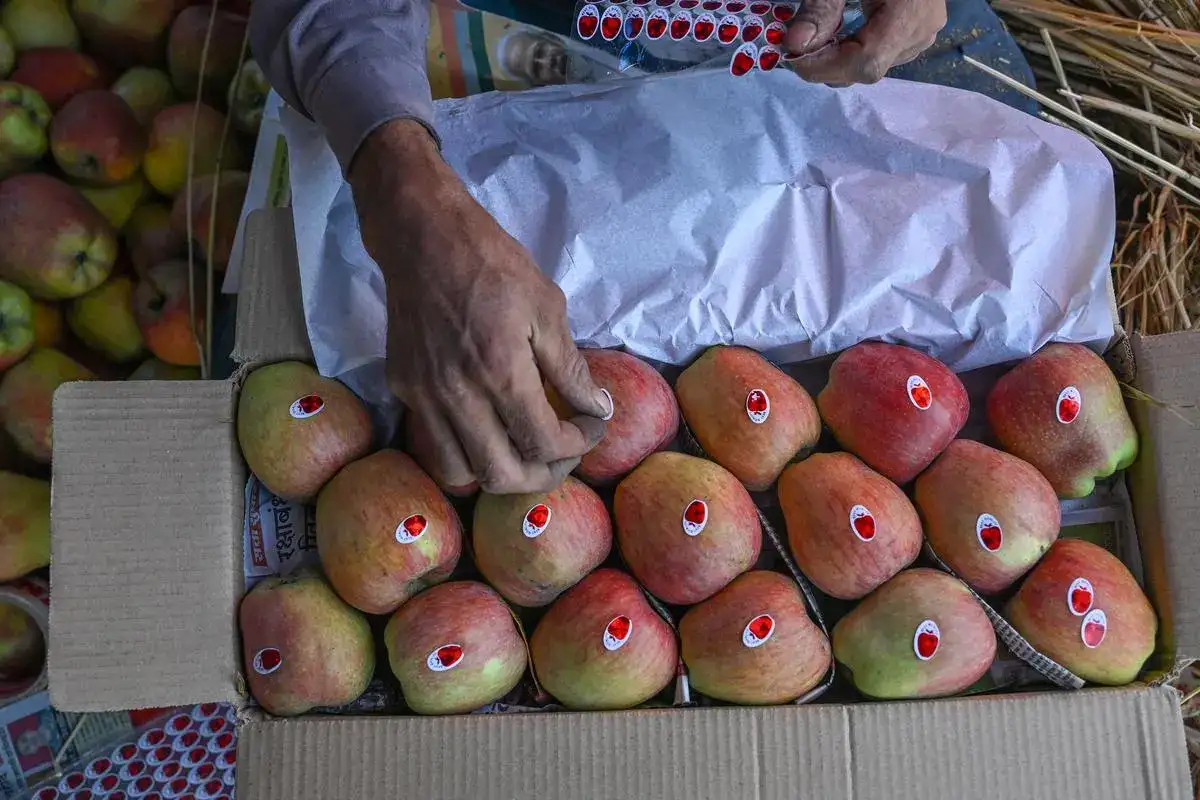 Apple Prices Likely to Rise as Poor Harvest Shrinks Supply