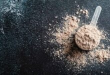 Can Protein Shakes Really Lower Intelligence Experts Separate Facts From Viral Claims