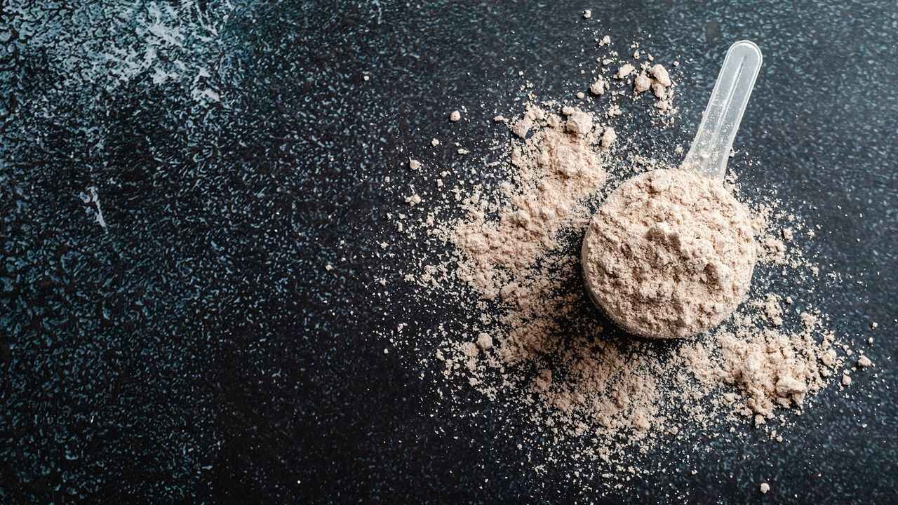 Can Protein Shakes Really Lower Intelligence Experts Separate Facts From Viral Claims
