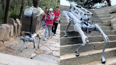 China Unveils Advanced Robot Dog Built for Tough Terrain