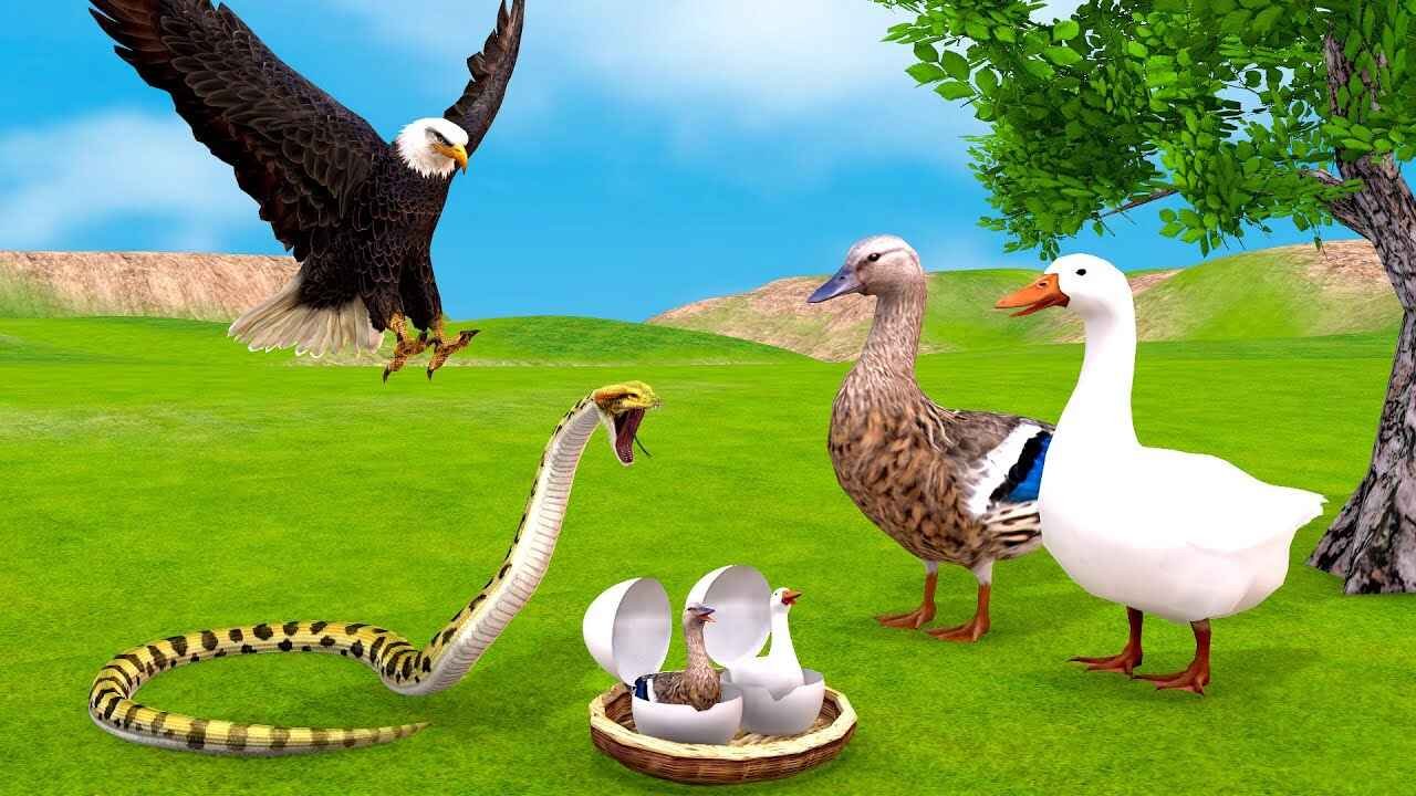 Clever Duck Defeats Cruel Snake With Intelligence and Teaches a Lesson on Karma