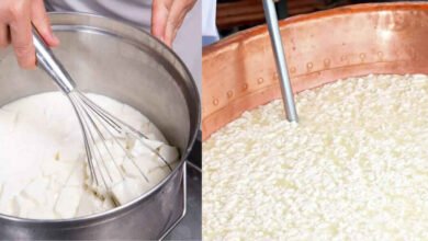 Curdled Milk in Your Kitchen Is Not a Problem but a Hidden Gift for Delicious Indian Sweets