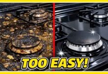 Easy Kitchen Hacks to Remove Burnt Milk Stains From Your Gas Stove Without Scratches