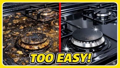 Easy Kitchen Hacks to Remove Burnt Milk Stains From Your Gas Stove Without Scratches