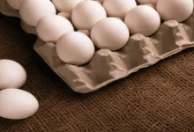 Egg Prices Rise Across India as Poultry Feed Costs Continue to Climb