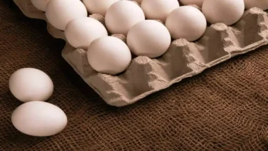 Egg Prices Rise Across India as Poultry Feed Costs Continue to Climb