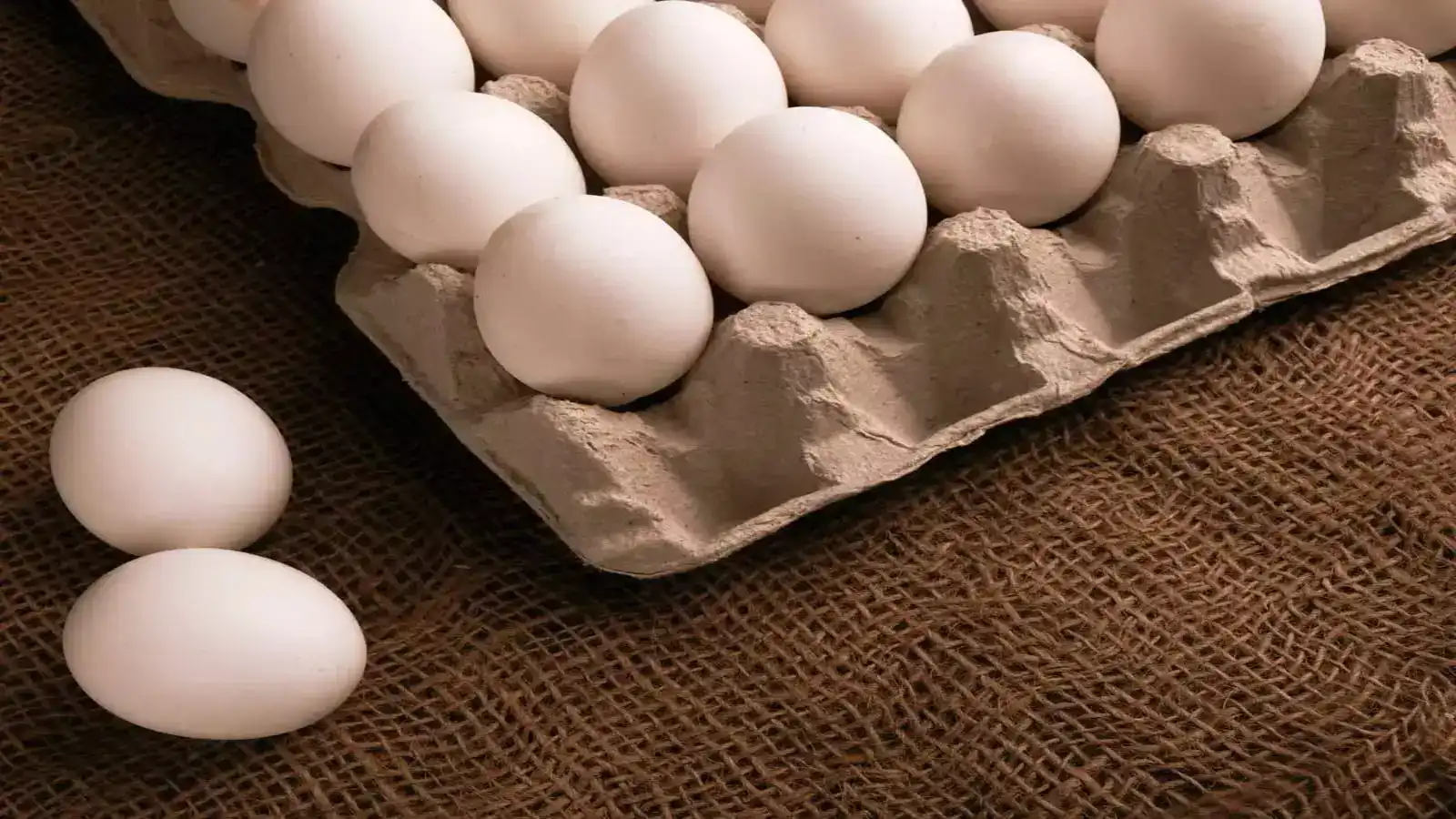 Egg Prices Rise Across India as Poultry Feed Costs Continue to Climb