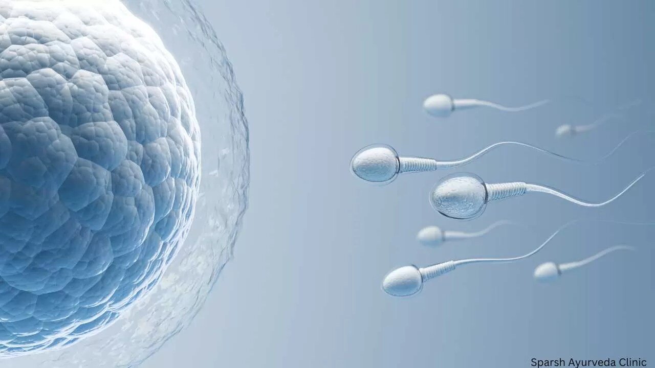 Fertility Concerns Rising Among Working Professionals Experts Highlight Lifestyle Risks and Solutions