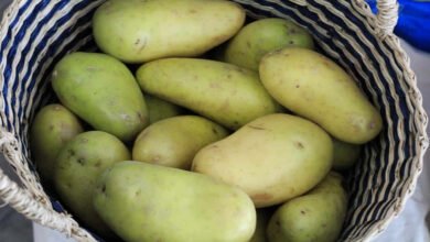 Green Potatoes May Not Be Safe to Eat Here Is What You Should Know