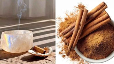How Cinnamon May Help Support Blood Sugar Control and Boost Metabolism Naturally